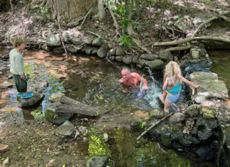 RFK Jr. Takes Grandkids Swimming In Sewage Tainted Creek. Really!
