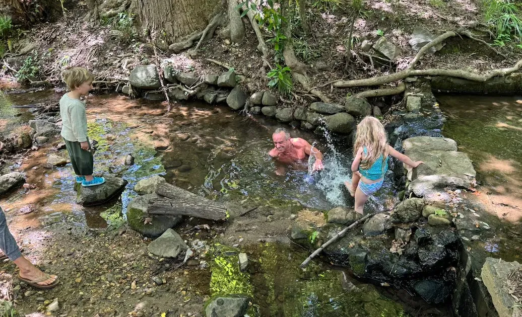 in the creek