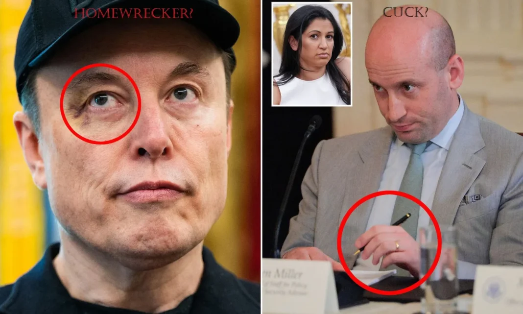 musk and miller black eye