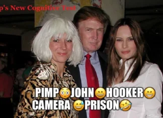 Rick Wilson Pulls No Punches, Says WH Is A Whorehouse Now
