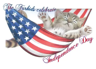 Furkids Celebrate The 4th of July!