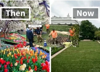With No “I Beg Your Pardon” Trump Bulldozes OUR WH Rose Garden