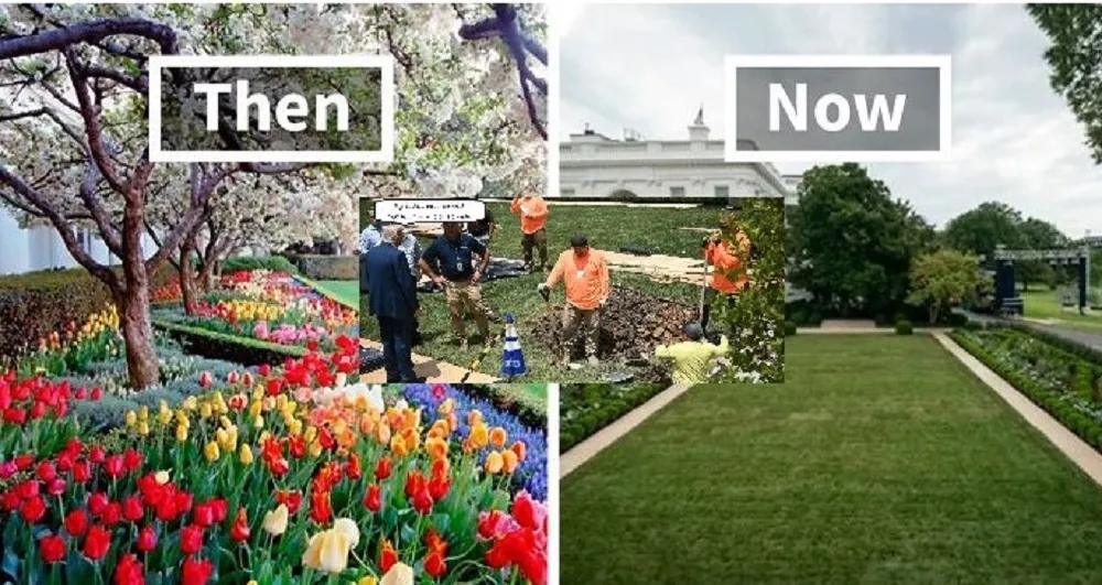 changed rose garden3
