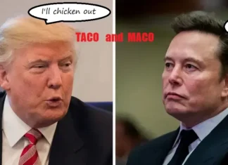 Cold War Type ‘MAD’ With Trump and Musk Might Become “TACO and MACO” (T&M?)