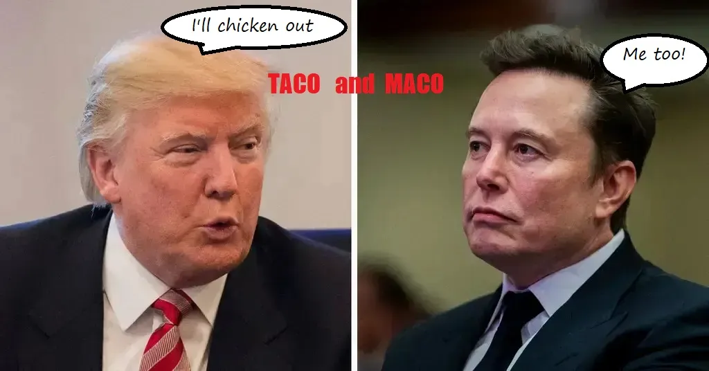 trump musk