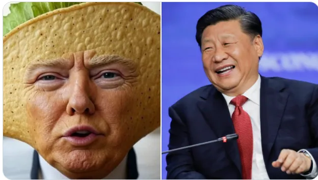 Trump Taco Xi