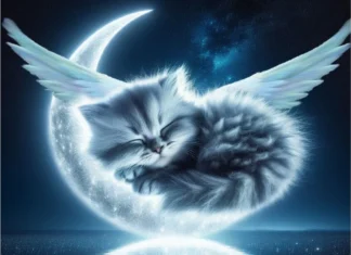 Furkids: Heavenly Lullaby