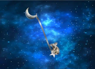 Furkids: Swinging on a Star