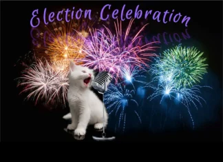 Furkids: You’re The Voice!