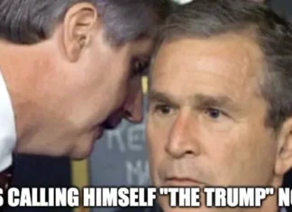 “The Trump?” WTF?