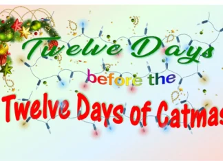 Furkids: The Eleventh Day