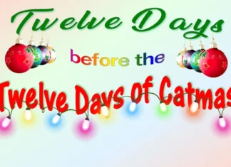 Furkids: The Twelfth Day