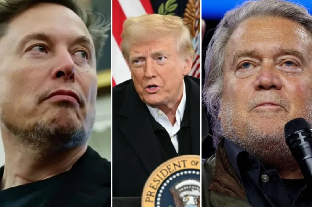 AI bannon trump musk