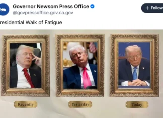 More World Class Trolling
