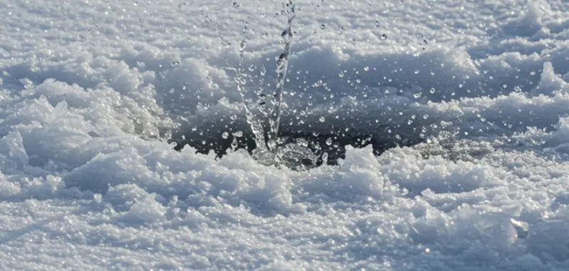 Yellow Snow