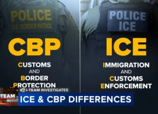 DHS Lies – This Is Not A Surprise