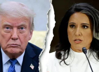 Tulsi Gabbard Dropped A Brick On Her Foot (And Trump’s)