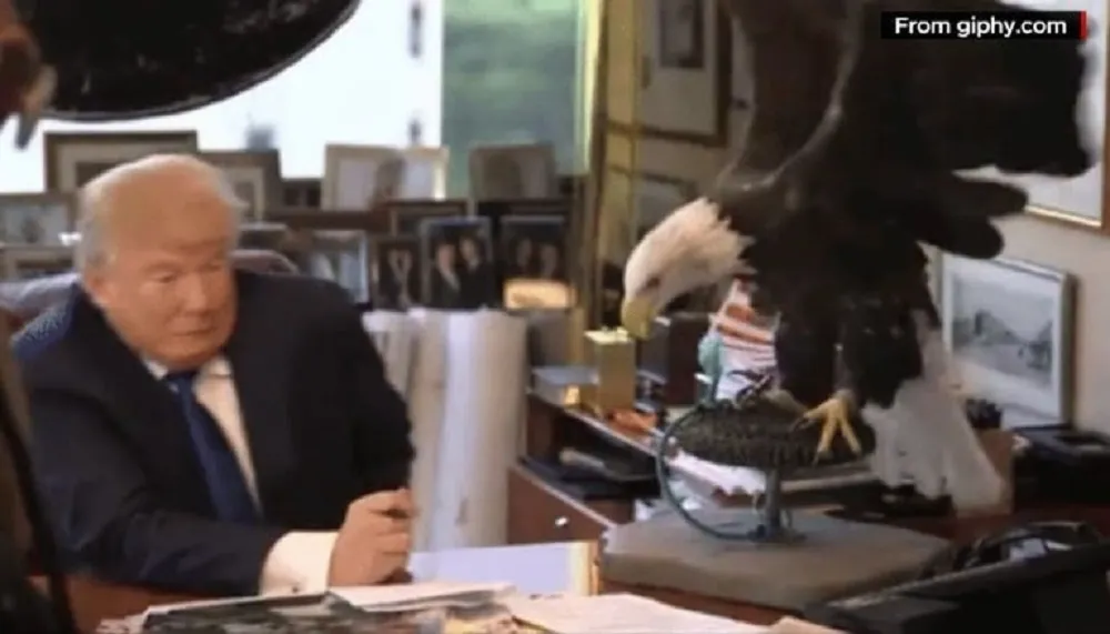 eagle scares trump