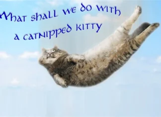 Furkids Celebrate a Double-Header!
