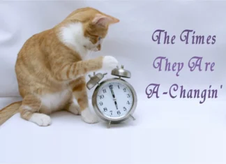 Furkids: It’s Time-Change Time Again