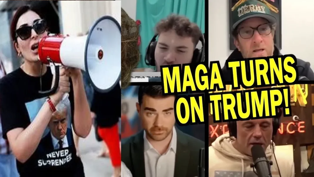 maga turns on trump2