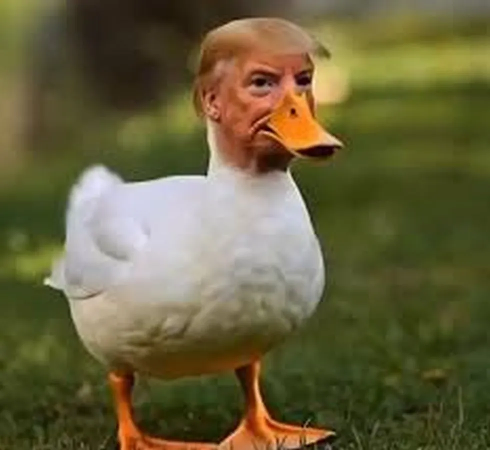 Trump Duck A 04-02-2026
