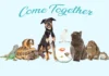 Furkids: Their Campaign Slogan and Song