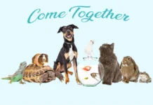 Furkids: Their Campaign Slogan and Song