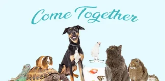 Furkids: Their Campaign Slogan and Song