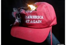 MAGA Wasp Nest Drops On Trump’s Head