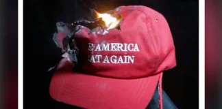 MAGA Wasp Nest Drops On Trump’s Head