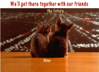 Furkids: When You Need A Little Help