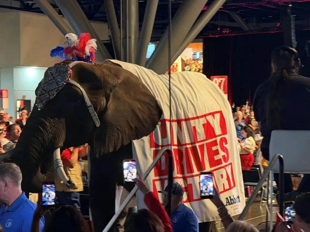 Abbott elephant A 06-24-2026