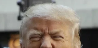 Trump Loses His Mind In Public