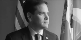 Marco Rubio Comparison Fail