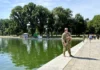 National Guard Out For What?