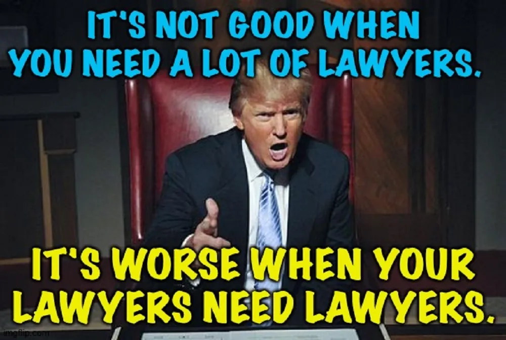 lawyers need lawyers