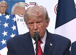 Come Nest In My Hair Said the Trumpty To the Fly!