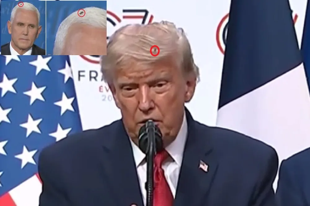 pence trump fly
