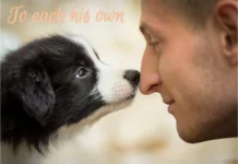 Furkids: And My Own Is You