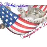 Furkids Celebrate The Independence of US!