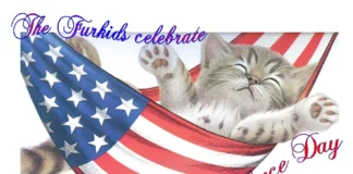 Furkids Celebrate The Independence of US!