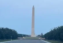 The Reflecting Pool Felony Case – This Is Getting Good!