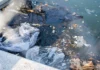 Reflecting Pool Trashed By Something Stupid (One Last Story)