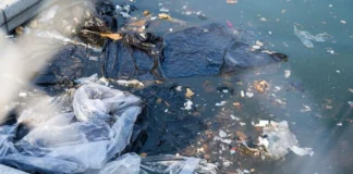 Reflecting Pool Trashed By Something Stupid (One Last Story)