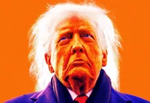 Trump, Did You Have To?