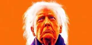 Trump, Did You Have To?