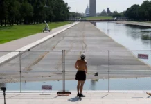 Trump’s Pond Has Been Drained Again
