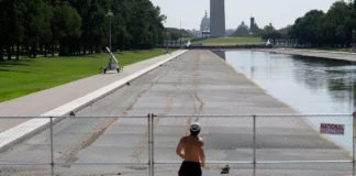 Trump’s Pond Has Been Drained Again