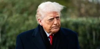 Donnie Has Lost His Talent (It’s Not What You Think)